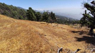 Finca rústica en Machado - Las Barreras. Se vende terreno rústico con protección paisajística en candelar