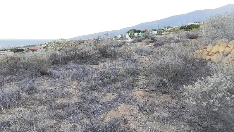 Foto 5645b79c-09c1-4ffb-8d8a-30a5e3085e80. Finca rústica a Arafo