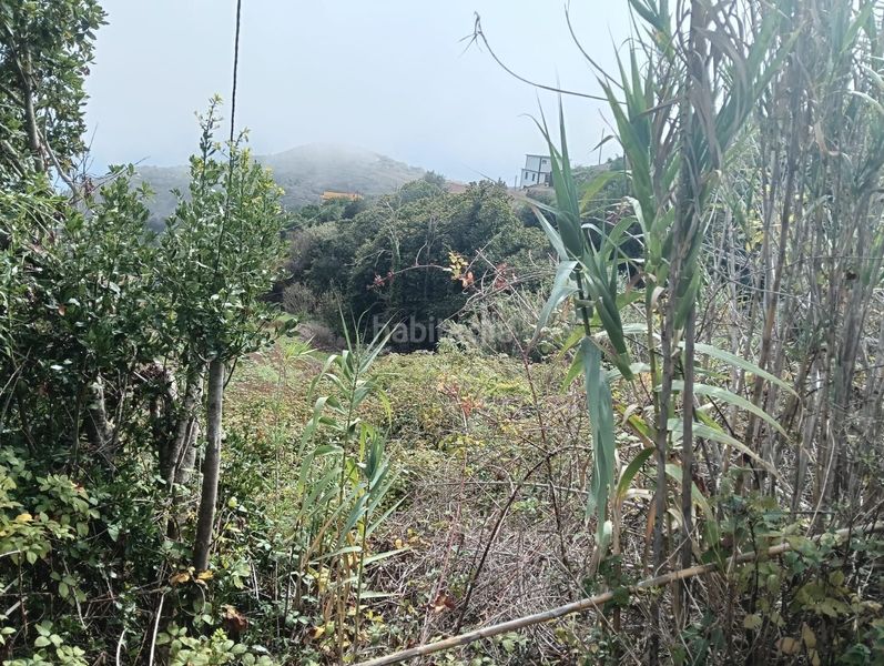 Foto 891a7060-99ec-4e92-97ff-9cf33fb10ddb. Finca rústica a Puntallana
