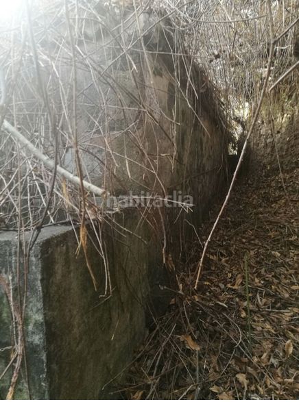 Foto c81af6c5-410b-43b6-bf55-38928adba7c5. Finca rústica a Puntallana