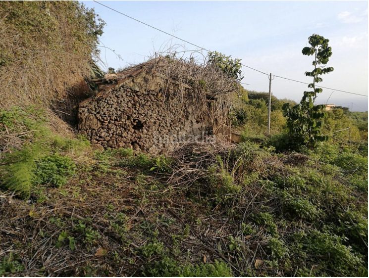 Foto e12984b1-8fda-4550-aa0c-7ed23bd270f4. Finca rústica a Puntallana