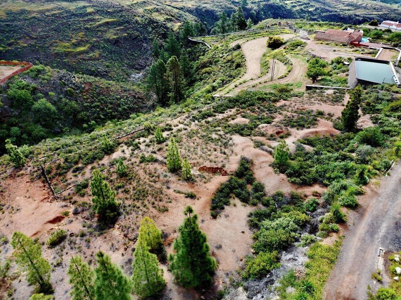 Foto a532142b-803e-4d3b-b226-4cb8b02d889c. Finca rústica a Fañabé - Ifonche y Benítez Adeje
