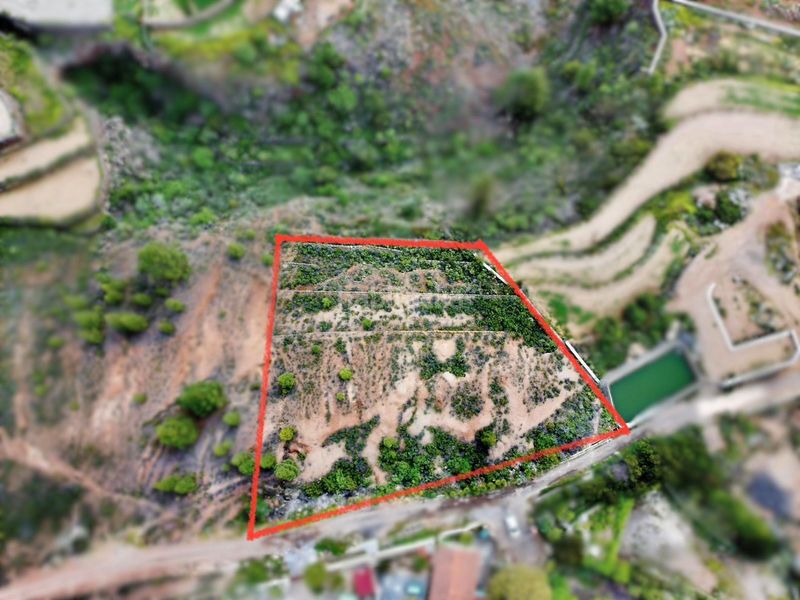 Foto c9cbdb02-7446-4829-b1d2-28699102e29b. Finca rústica a Fañabé - Ifonche y Benítez Adeje