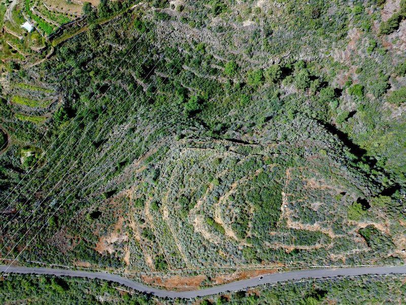 Foto 0442497c-c81d-41c6-a2c7-75e23feebcfc. Finca rústica a El Escobonal - Pájara Güímar