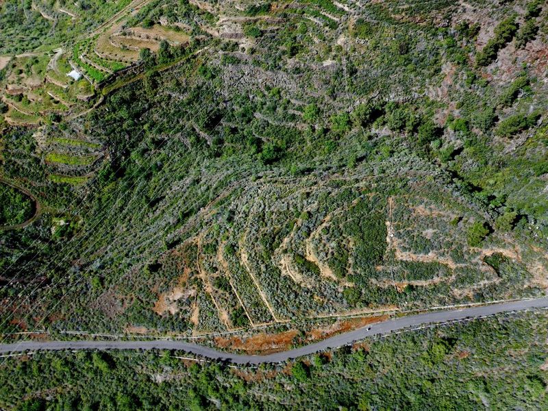 Foto b72d98e6-3547-407d-ac0f-2e4b957e2ec0. Finca rústica a El Escobonal - Pájara Güímar