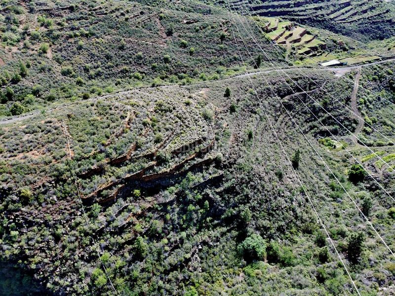 Foto ccafcd55-8410-47f6-9aa9-e237e83d559c. Finca rústica a El Escobonal - Pájara Güímar