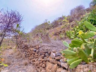 Finca rústica a Guía de Isora Interior. Venta de finca agrícola en el jaral, guía de isora.