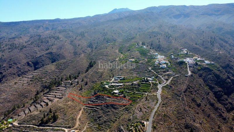 Foto e540f77f-90e4-4f73-b532-e27544a36285. Finca rústica a Guía de Isora interior Guía de Isora