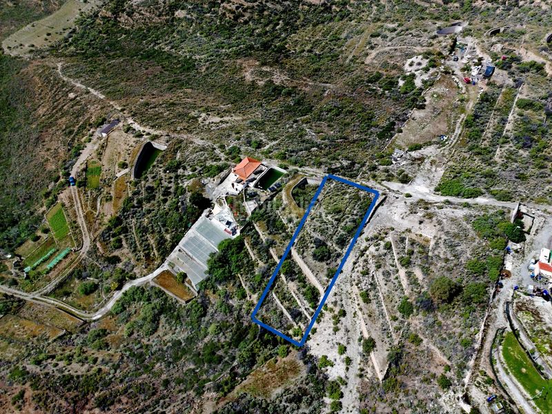 Foto e3d556a4-c4b9-4de1-aed5-997bfb7556bf. Finca rústica a El Escobonal - Pájara Güímar