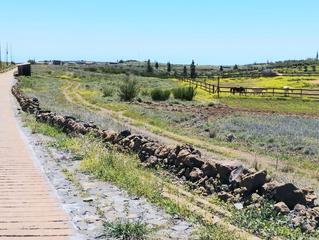 Terreny residencial a Vilaflor. Idílico terreno rústico en la zona de trevejos, vilaflor de 1.78