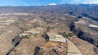 Terreny residencial a Playa de San Juan. Venta de finca agrícola con 32.973 m2 en chiratal, guía de isora