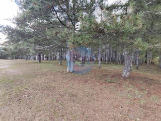 Residential Plot in Valdefresno