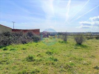 Residential Plot in Armunia