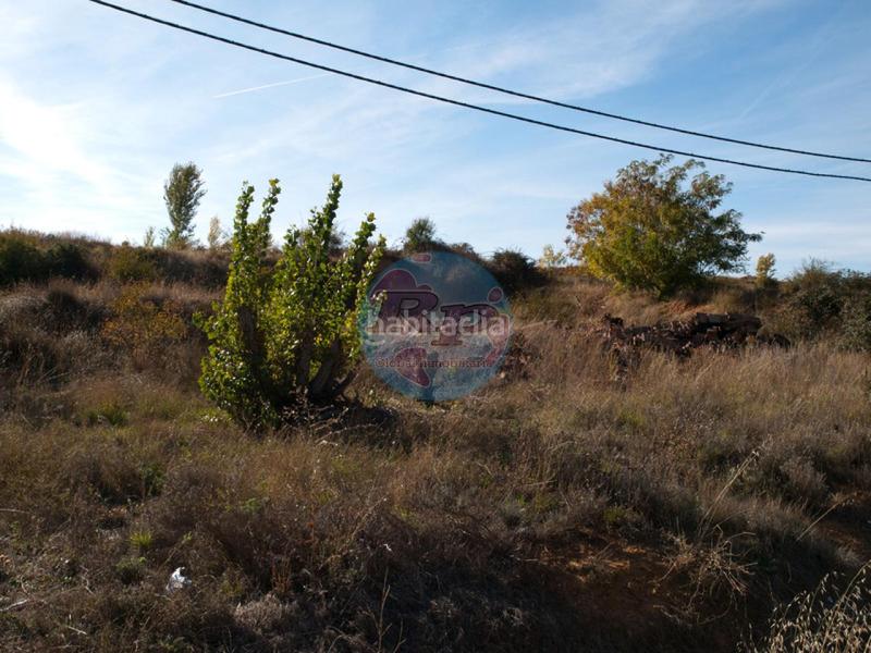 Foto 8d650d30-2443-43b4-9f82-3e9ee9ba1a49. Terreny residencial a San Esteban León