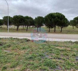 Residential Plot in San Esteban