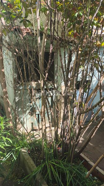 Foto 2e4887db-93eb-41e6-8037-8404ddb6e34b. Casa a calle del obispo paterno 16 a Oliver Zaragoza