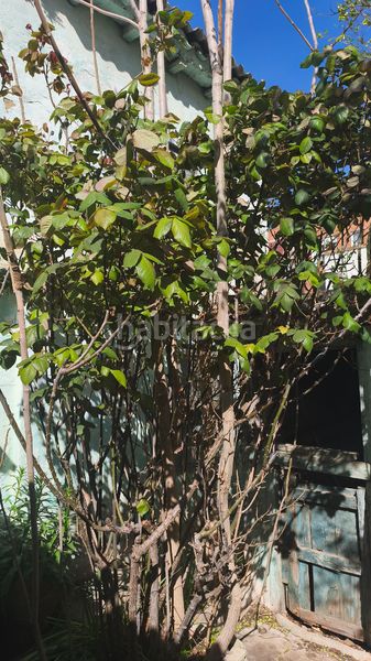 Foto aa67df18-8529-4118-ab9a-58bd4fffbf1e. Casa a calle del obispo paterno 16 a Oliver Zaragoza