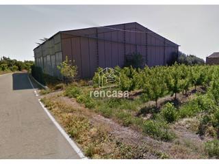 Lloguer Nau industrial  Camí municipal de butsènit,. Nave comercial en alquiler en lhorta