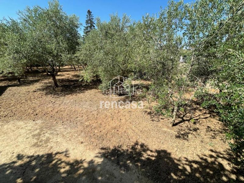 Foto 6ecd9165-caeb-4ed6-a154-a054d0f555e5. Xalet amb aparcament piscina a Torres de Segre