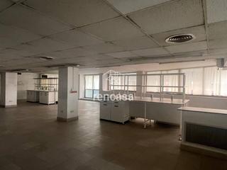 Lloguer Local Comercial  Sant ruf. Local avda sant ruf