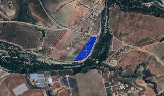 Propriété à N/a. Finca rústica con vivienda en el coronil (sevilla) – en subasta