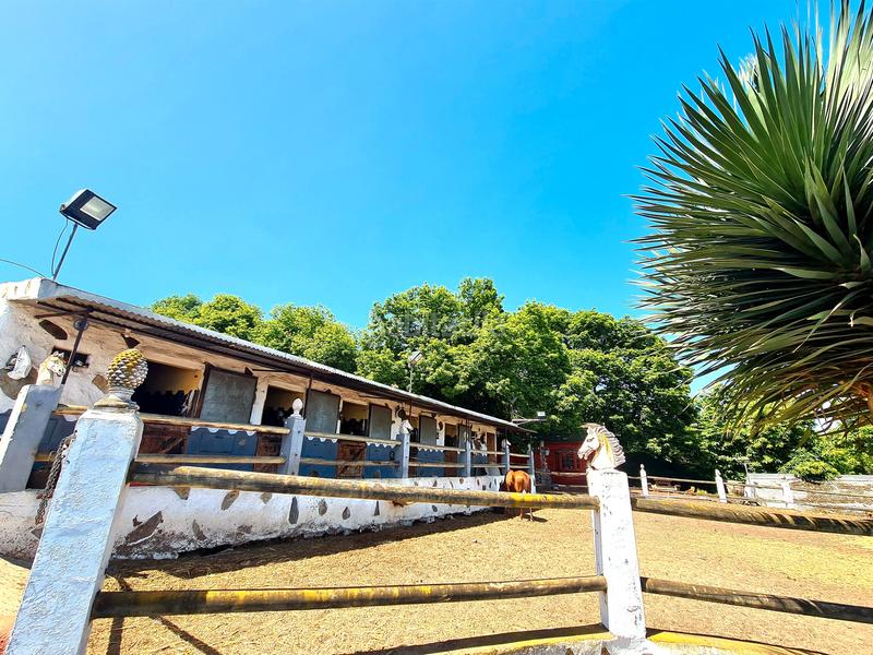 Foto f1fc1ebc-9703-4570-98e7-06464fba07a0. Country house with parking pool in La Perdoma - San Antonio - Benijos Orotava (La)