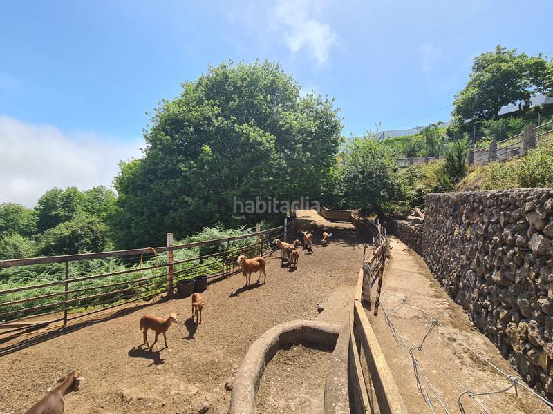 Foto b4680c12-de48-48a6-95f9-427e44e69358. Masía en La Perdoma - San Antonio - Benijos Orotava (La)