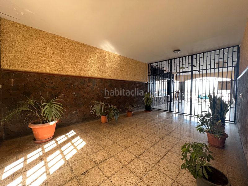 Foto 155c19a5-d818-4f17-9748-e0fd92549ab9. Piso en Garachico