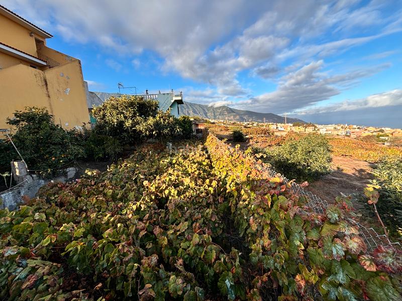 Foto 44700da4-5c08-4523-a223-ac225cd370da. Terreny residencial a La Perdoma - San Antonio - Benijos Orotava (La)