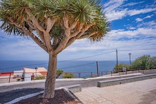 Chalet  Carretera almaciga