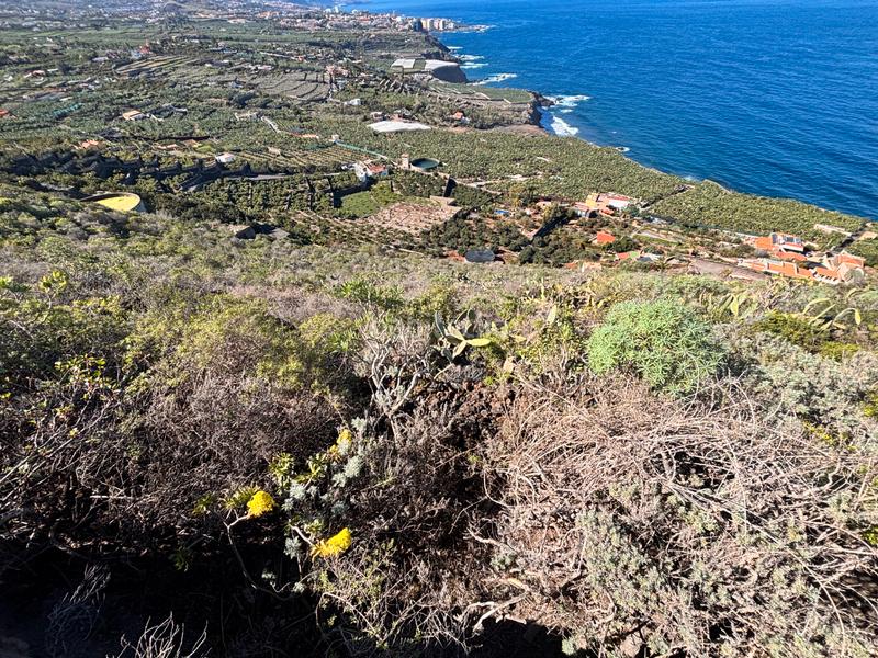 Foto 39ac8645-860e-4f69-b5ed-333c02e87c43. Finca rústica a Las Cuevas - Los Gómez Orotava (La)