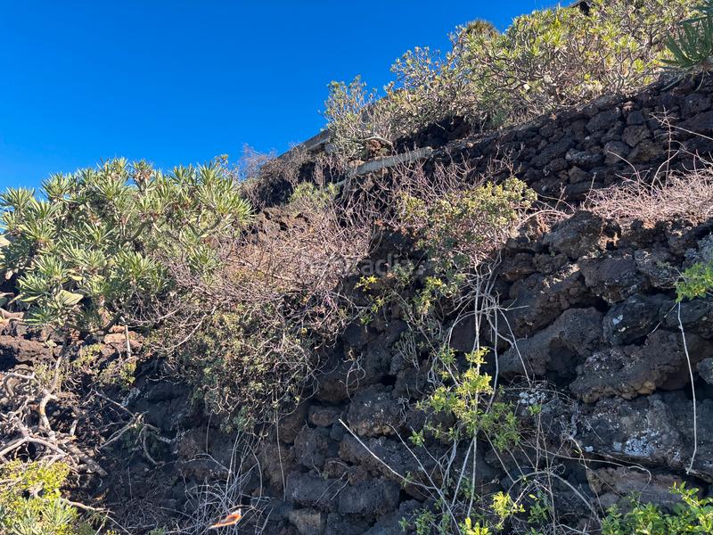 Foto d8a109d4-f6ee-4649-9e48-27ffb8064439. Finca rústica a Las Cuevas - Los Gómez Orotava (La)