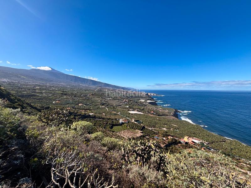 Foto f52f5973-4dbe-4d8c-937e-39d5879891c9. Finca rústica a Las Cuevas - Los Gómez Orotava (La)