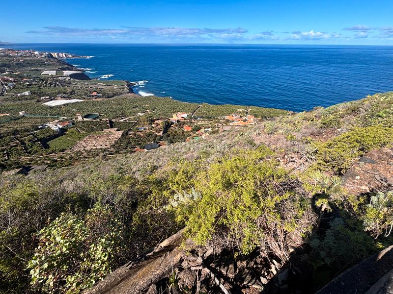 Foto f8eb8132-a676-4e61-80e0-6d7ea253e2ca. Finca rústica a Las Cuevas - Los Gómez Orotava (La)