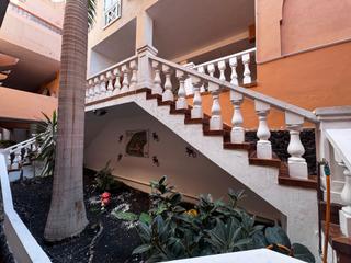 Studio  Calle paises bajos