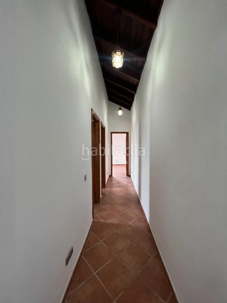 Foto b21064fd-a154-4c4e-8816-79bf11fe6591. Lloguer masia amb aparcament a Los Realejos pueblo Realejos (Los)