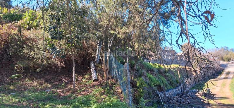 Foto 114fef5e-e829-4882-aef7-6b0f4a24dbfc. Casale con parcheggio in Palo Blanco Realejos (Los)