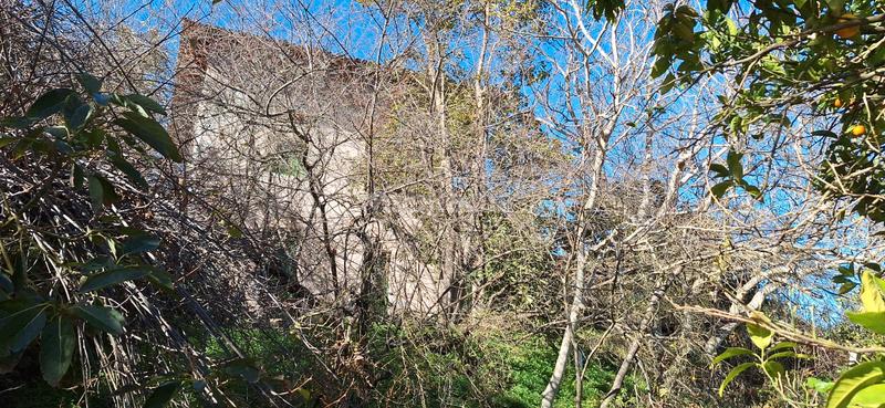 Foto 3c3f379e-cce2-472d-ad37-79d2b639816f. Casale con parcheggio in Palo Blanco Realejos (Los)