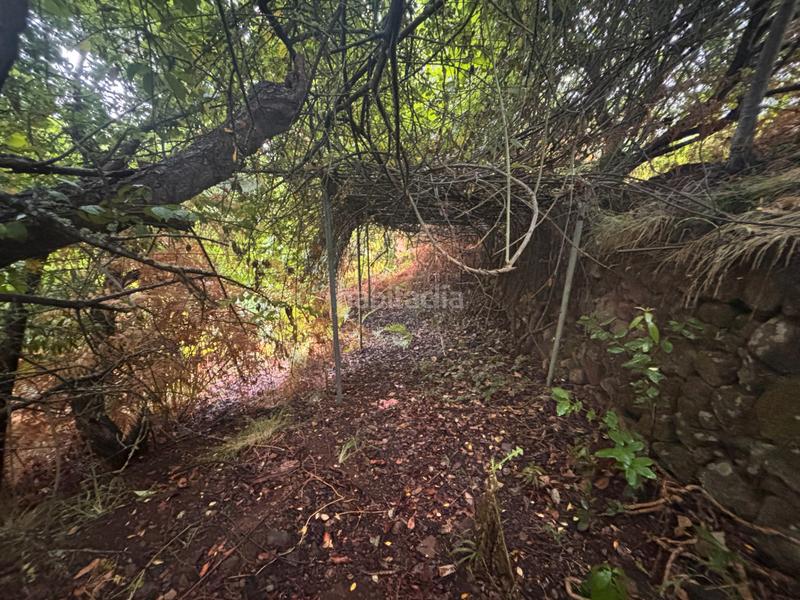 Foto 4d140670-a0dc-4a84-93bf-c7e08e77210b. Casale con parcheggio in Palo Blanco Realejos (Los)