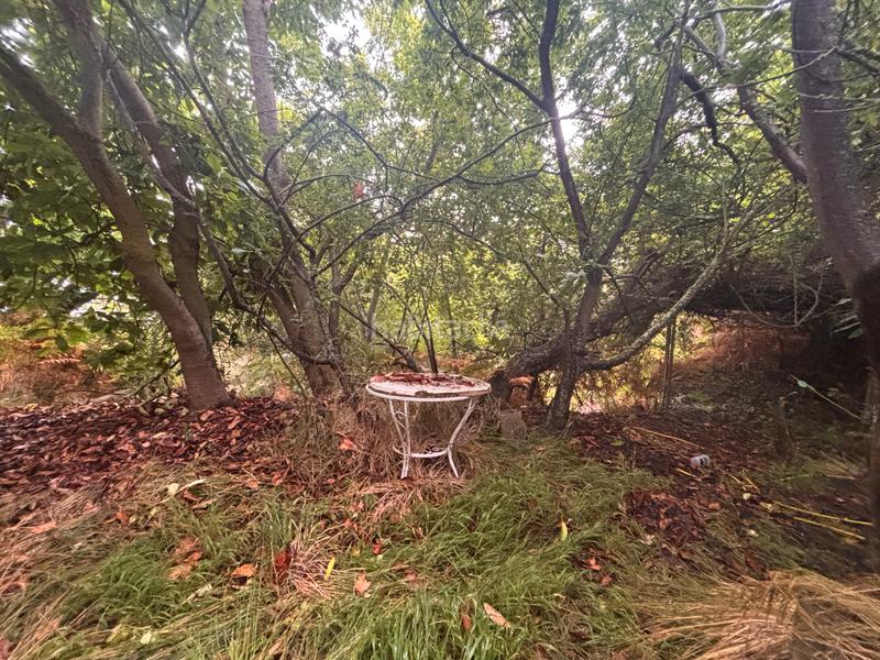 Foto 713eaa31-7288-4824-a87f-444ca422c469. Casale con parcheggio in Palo Blanco Realejos (Los)