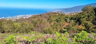 Masia  Carretera las llanadas. Finca rústica en venta - un paraíso natural en los realejos