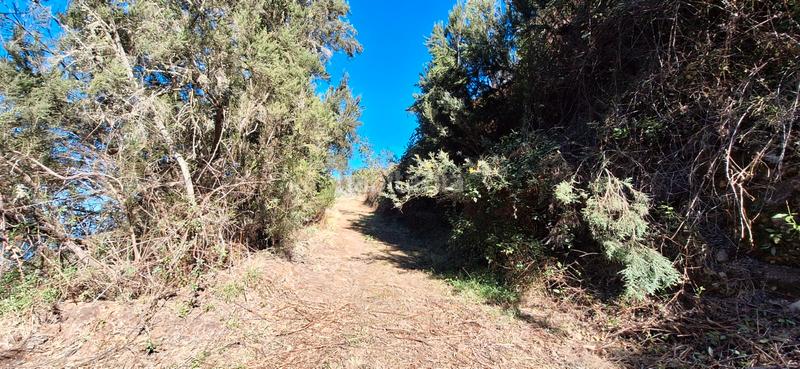 Foto cf9057d1-bb29-4e99-9eb0-1f73936f37df. Casale con parcheggio in Palo Blanco Realejos (Los)