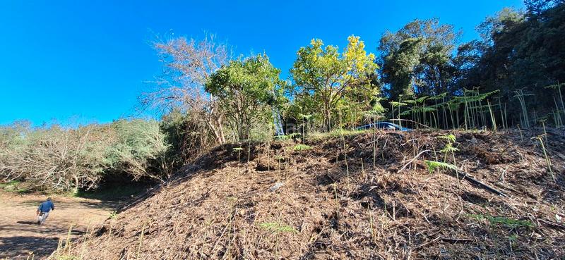 Foto fff0ae12-c26d-4b0a-8254-fe16a6cfb4b0. Casale con parcheggio in Palo Blanco Realejos (Los)