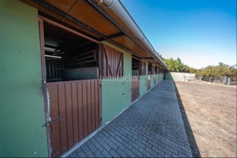 Foto 6c7275ce-e30a-42e6-a545-4443330f607a. Masia amb xemeneia a Los Realejos pueblo Realejos (Los)