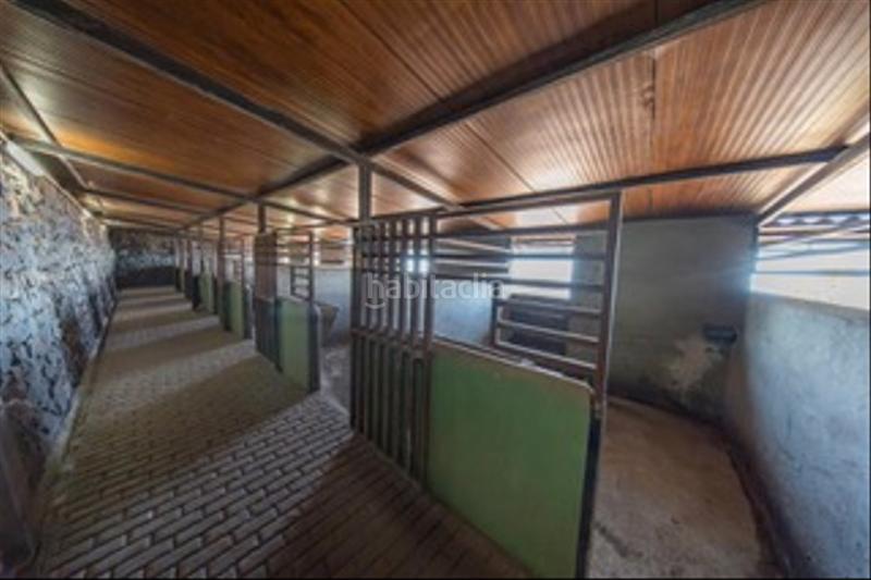 Foto 8027558a-ab09-45f0-a462-6a5fb05d074f. Masia amb xemeneia a Los Realejos pueblo Realejos (Los)