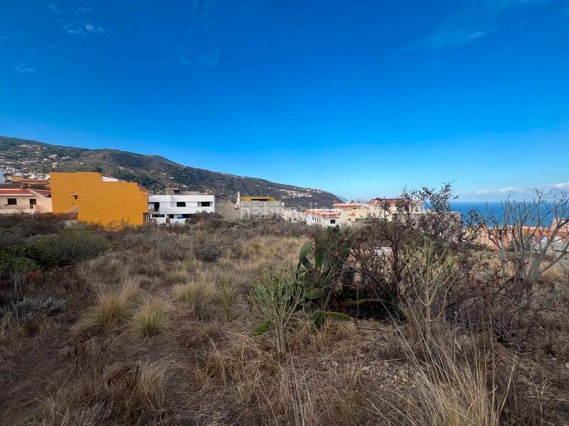 Foto 25eed4dd-bfe3-402a-bb2f-845eb6fe7bb5. Terrain résidentiel dans Buen Paso - La Mancha Icod de los Vinos