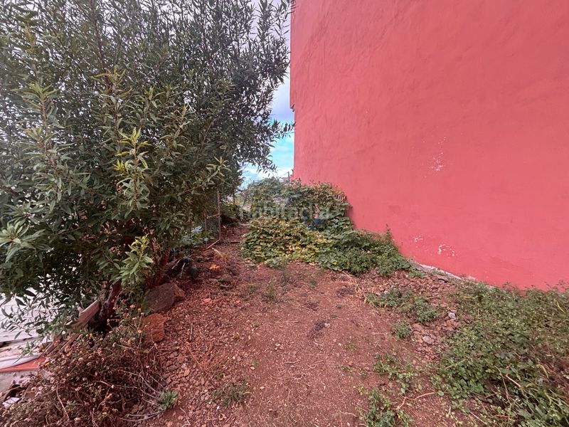 Foto 97f2fa42-b6e2-4aba-a3b0-6cd8fd2dadef. Finca rústica a La Corujera Santa Úrsula