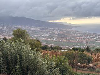 Finca rústica  Calle pino alto. ¡descubre el lugar perfecto para tu nueva vida!