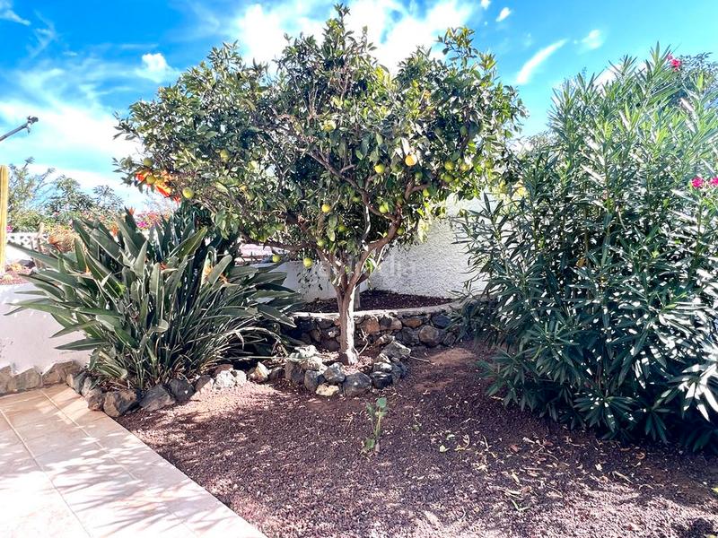 Foto d0a4422e-c956-4507-9b68-72789e735539. Rent chalet in Centro Orotava (La)