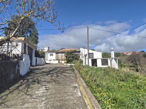 Mas�a  Calle las rosas